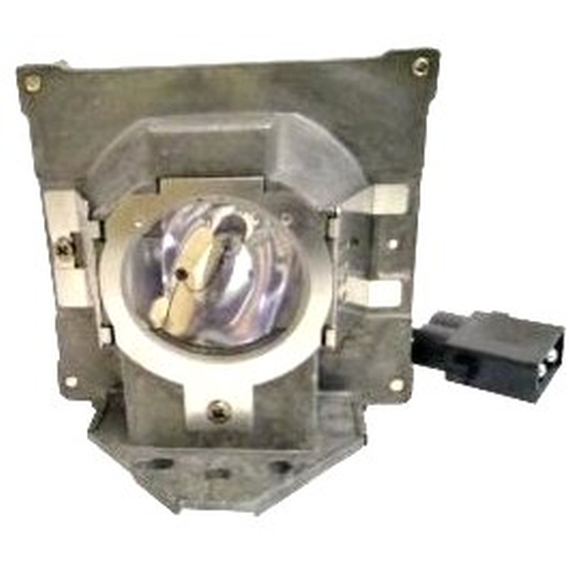Benq 5j.j2d05.011 Projector Lamp Module
