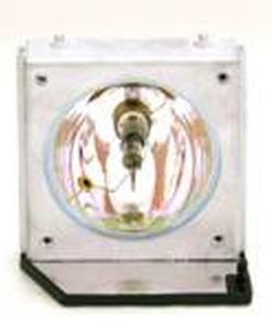 Optoma Sp.80n01.009 Projector Lamp Module 1