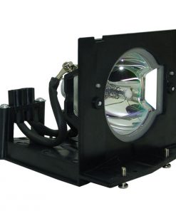 Samsung Spl221 Projection Tv Lamp Module 2