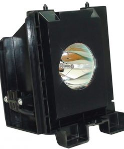 Samsung Sp42l6hx Projection Tv Lamp Module 2