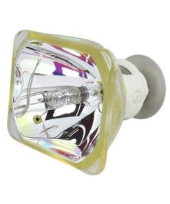 Ushio Rs Lp02 Bare Bulb Projector Lamp For Canon 1