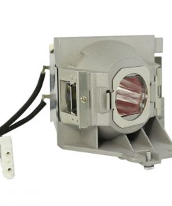 Viewsonic Pjd5555 Tiger Projector Lamp Module 1