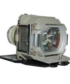 Sony Bw7 Projector Lamp Module 2