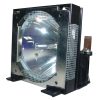 Sharp Bqc Xgp10x1 Projector Lamp Module