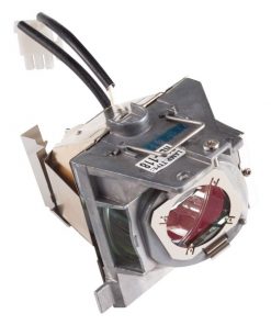Viewsonic Rlc 118 Projector Lamp Module 1