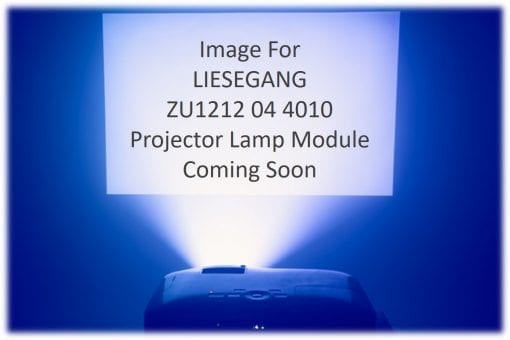 Liesegang Dv480 Projector Lamp Module