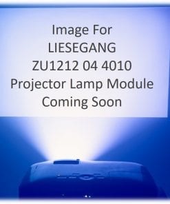 Liesegang Zu1212 04 4010 Projector Lamp Module