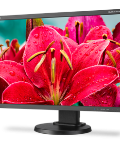 24 Widescreen Desktop Monitor W Ips Panel Integrated Speakers And Led Backlighting