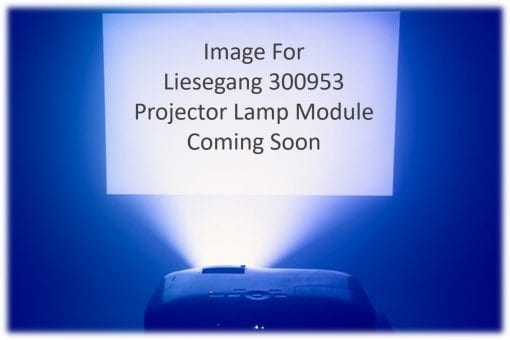 Liesegang Dv X588 Projector Lamp Module