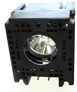 Liesegang Dv250 Projector Lamp Module