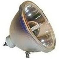 Projector Replacement Lamp / Bulb for Samsung SP43J6HDX/XET