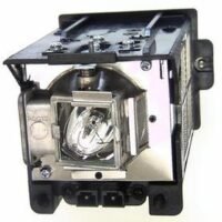 Eiki EIP-WX500U, EIP-WX5000L, EIP-WX5000 Projector Lamp / Bulb