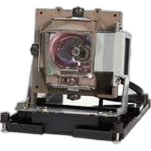 LPH001 Projector Replacement Lamp / Bulb for Taxan PH1001X